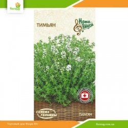 Тимьян 0,1г (Семена Украины)