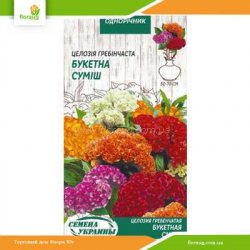 Целозия гребенчатая смесь 0.1г (Семена Украины)