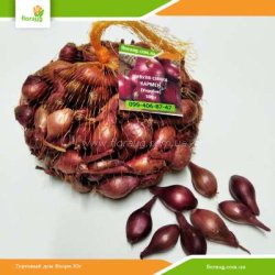 Лук севок Кармен (Украина) 500г