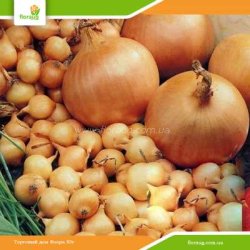 Лук севок Штутти (Нидерланды) 500г