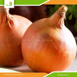 Лук севок Стурон (Украина) 500г