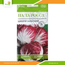 Цикорій салатний Пала Росса 1г (Велес)