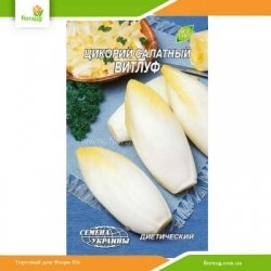 Цикорий салатный Витлуф 1г (Семена Украины)