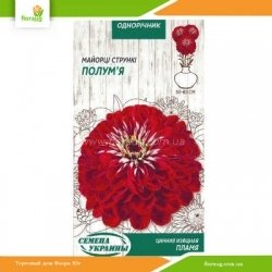 Цинния изящная Пламя 0,5г (Семена Украины)