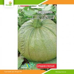 Гарбуз Ждана 2г (Флора Маркет)