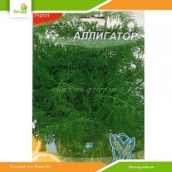 Укроп Аллигатор 20г (Країна насіння)