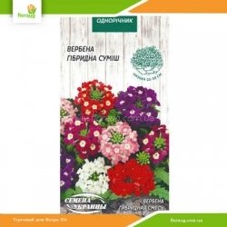 Вербена Смесь 0,1г (Семена Украины)