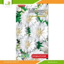 Василек многолетний Белый 0,25г (Флора Маркет)