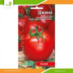 Томат низкорослый Джина 0,1г (Флора Маркет)