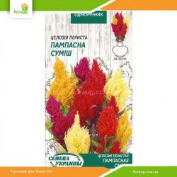 Целозия Перистая смесь 0,1г (Семена Украины)