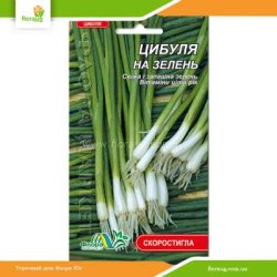 Лук на зелень 0,3г (Флора Маркет)