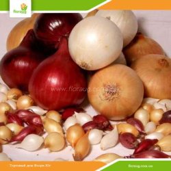 Лук севок Смесь сортов (Нидерланды) 500г