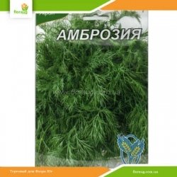 Укроп Амброзия 20г (Країна насіння)