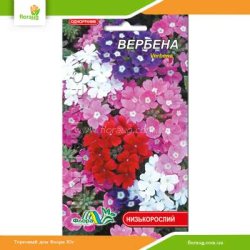 Вербена смесь 0,3г (Флора Маркет)