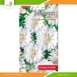 Волошка багаторічна Біла 0,25г (Флора Маркет)