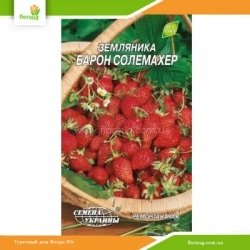 Суниця Барон Солемахер 0,1г (Насіння України)