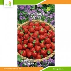 Суниця Регіна 0,1г (Насіння України)
