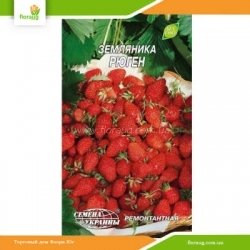 Земляника Рюген 0,03г (Флора Маркет)